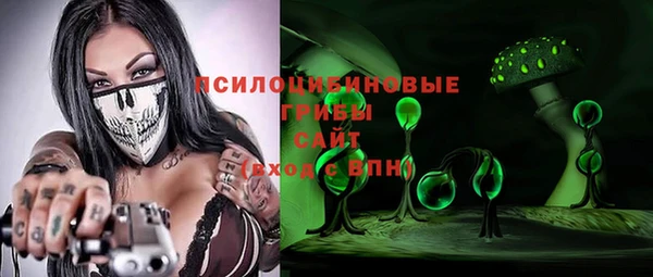 хмурый Ладушкин