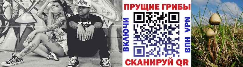 Галлюциногенные грибы мухоморы  Купить  Бузулук 